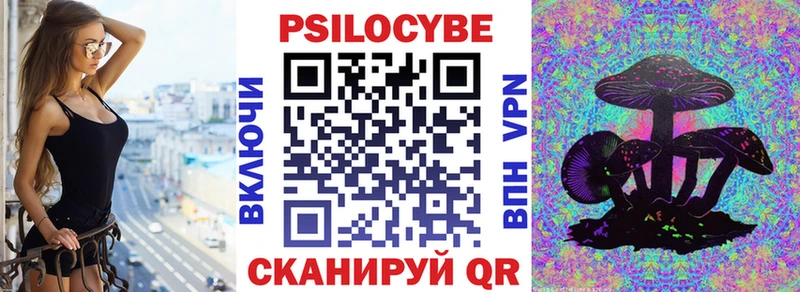 Псилоцибиновые грибы GOLDEN TEACHER  Купить  Октябрьский 